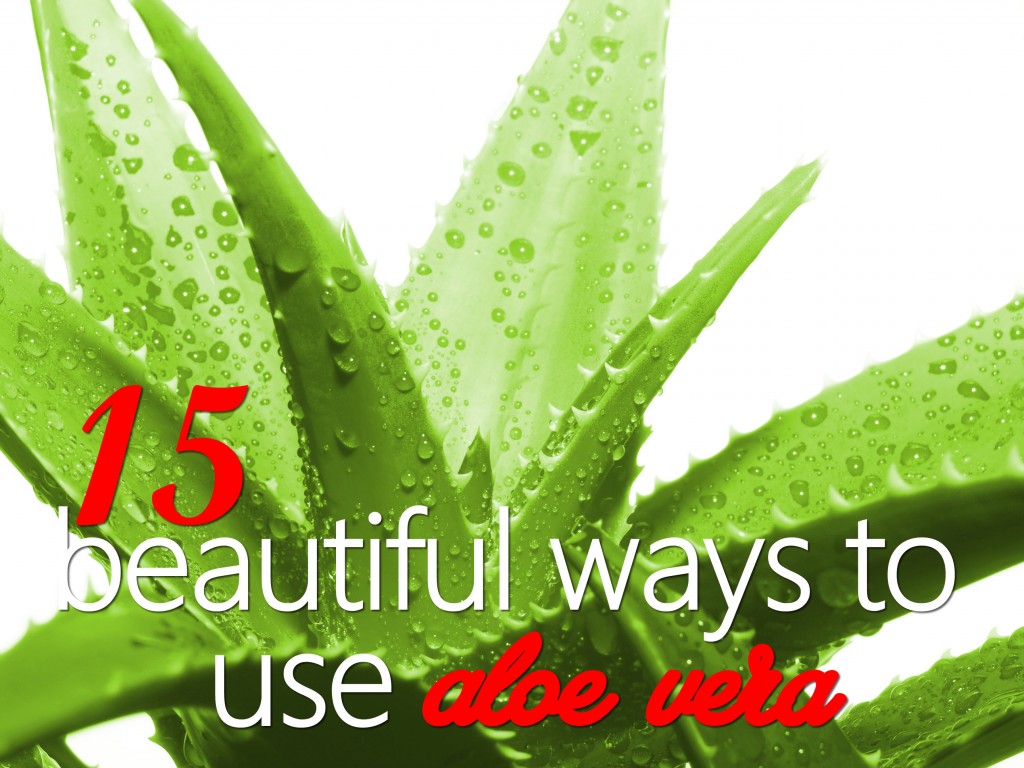 15 Beautiful Uses For Aloe Vera