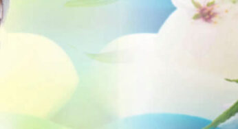 Skincare Review: Freeman Pineapple Facial Enzyme Mask