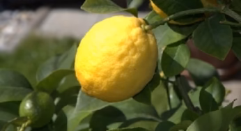 6 Products That Should Never be Used for Skin Care