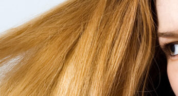 Haircare 101: Choosing the Right Brush