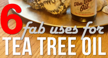 6 Fab Uses For Tea Tree Oil