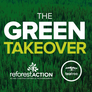 Paul Mitchell #GreenTakeover Tea Tree Giveaway
