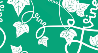 Sassy Dove is on Vine!