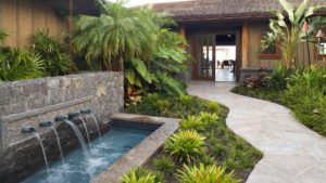 Beautiful outdoor fountain with palm trees and stone paver patio walkway
