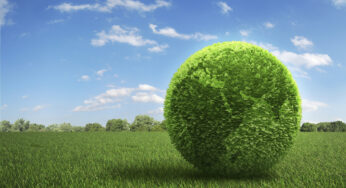 How to Practice Eco-Friendly Pest Control