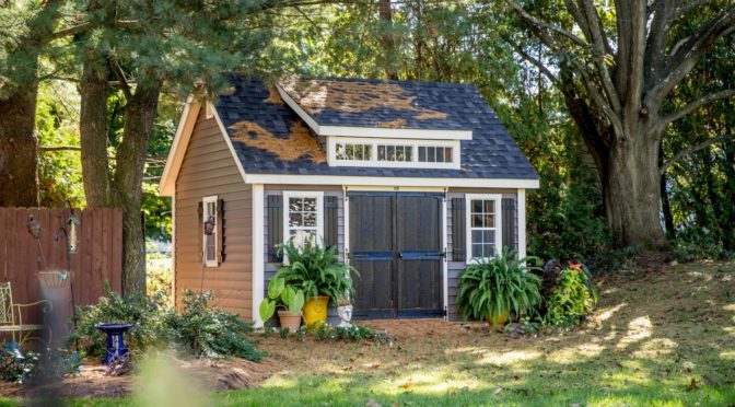 Sheds: What Type Do You Need?