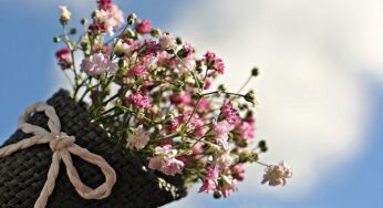 Christmas Gifts To the Flower-Lover