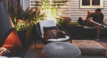 Essential Home Maintenance Guidelines and Tips