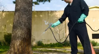 Important Do’s and Don’ts When Using Pest Control in Your Home